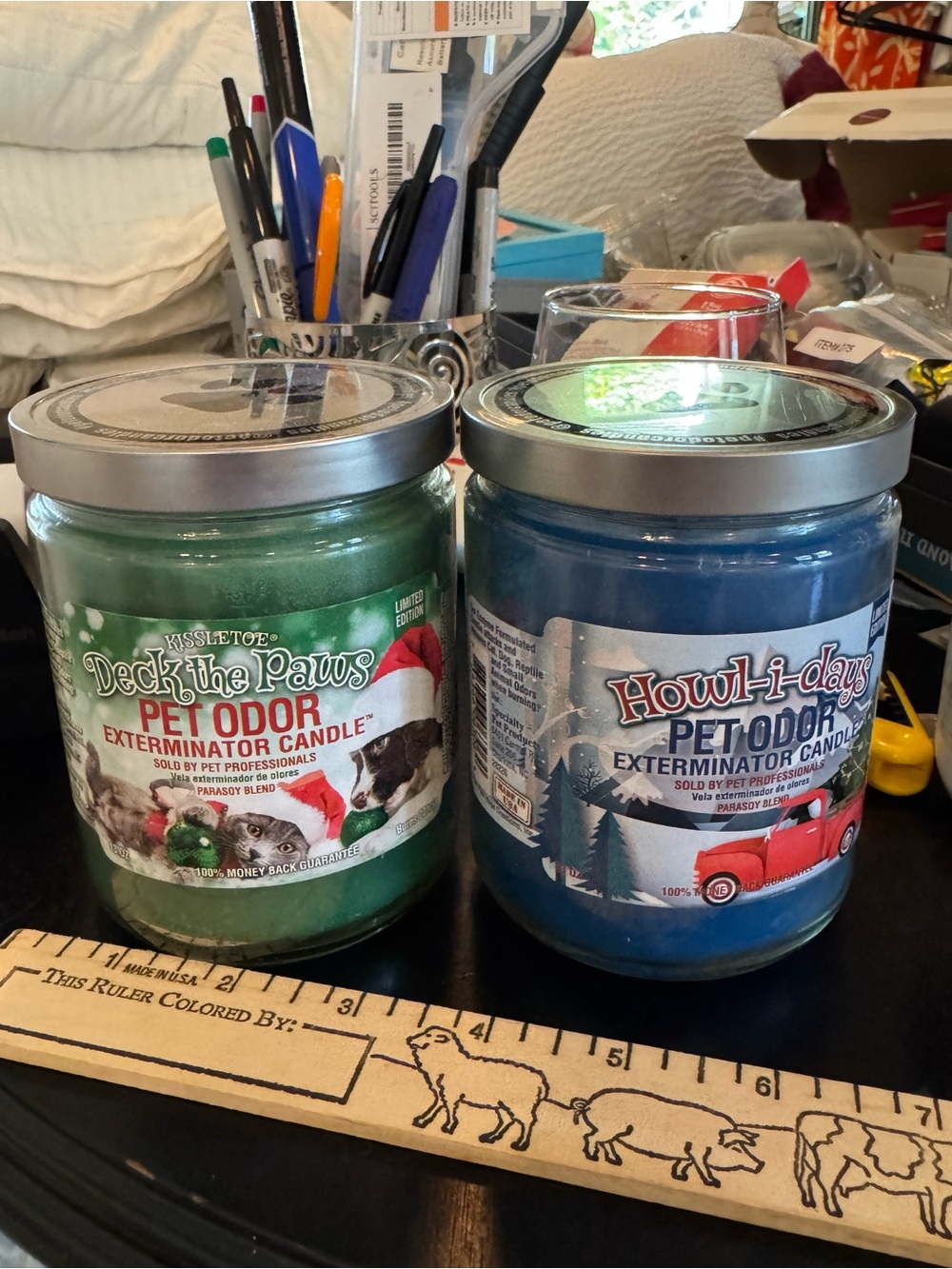 2 Pet Odor Exterminator Candle - Green and blue